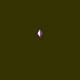 Live Polygon #0698