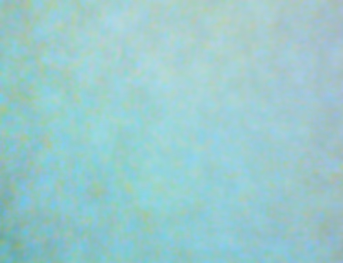 Item #71646257518770613568983710813551014237803002136866425209291833631569401085953 Media