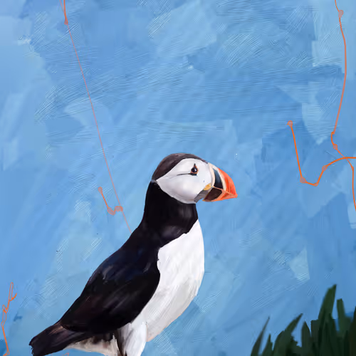Beaksandfeathers