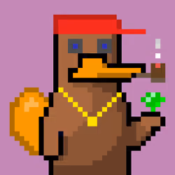Platy Punk #1992