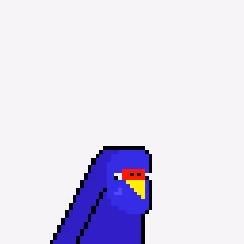 Budgie #321