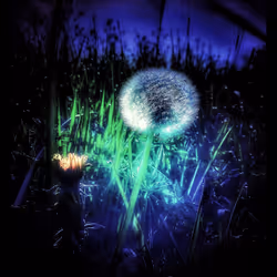 3787080761074609709675817509753112159059746763483256848434353565492989394949