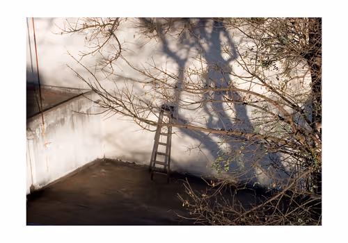 Item #89158389587416810241244349244879990479099319185464382481951774842804431224833 Media