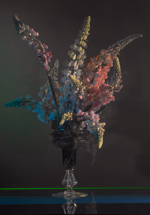 Item #6543125285758794139519418366552479585360659536622126303737984988092940943361 Media