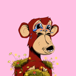 Ape #34149