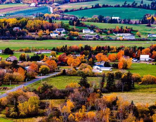 Item #52186198635424597728176025515183066148153471361030465447758552600799210373121 Media