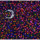75095670497890257557362329544101162837399213364447091019291386962615671455745
