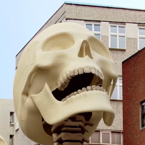 Magic skull