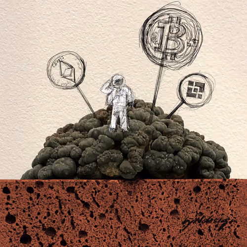 #001 Cypto land to the wired plant planet