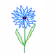 Collection of NFT Cornflowers