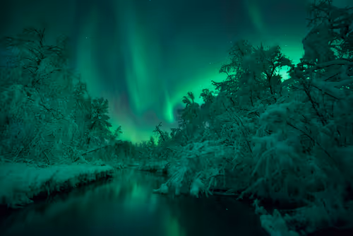 Item #88000790738585356177906877532357843810650647350531678193929358433135303327745 Media