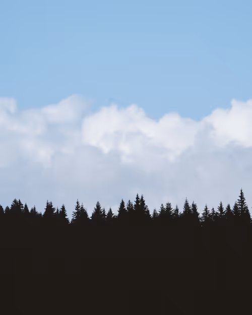 Item #1681200608944986882710212351087985927498901891912841592381619105645344063489 Media