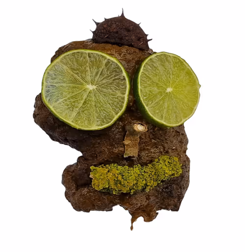 Item #100909502448086356706660368779487088653809768188601857193380375609196838649857 Media