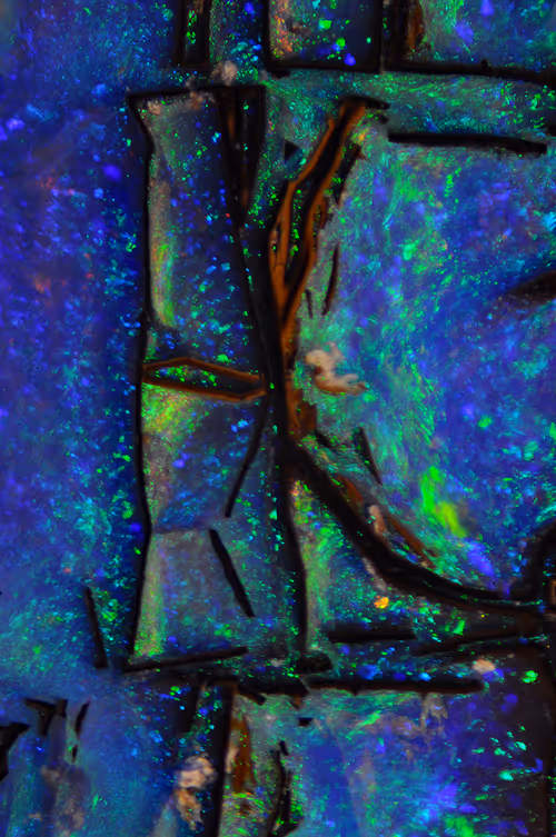 Item #21177589988234382907292029725280025606269119538694693414219510831107280994305 Media