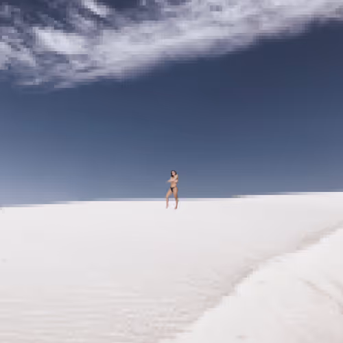 Nude Pixels in Nature_035