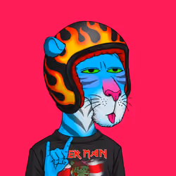 Tiger Man #0467