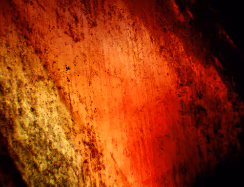 Item #71646257518770613568983710813551014237803002136866425209291834768464424206337 Media