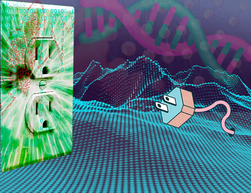 wondermundo 1.0 (2021 work)