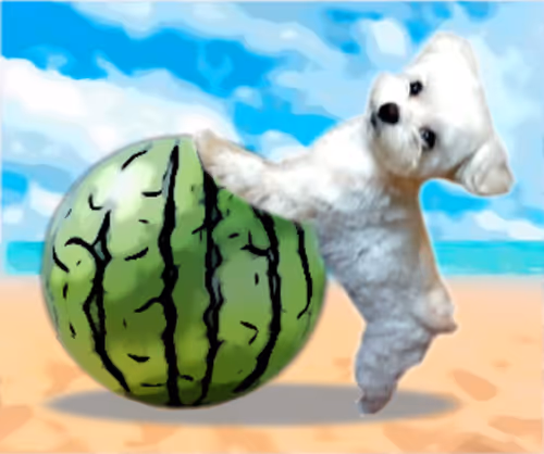 Item #21477548388787063266658748687199700189937005018840532589754440263376994041857 Media