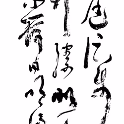 Calligraphy sketches