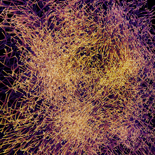 Item #112371039172535416737738199816793879225976991536791396385715131487528037646337 Media