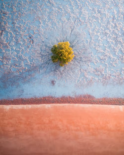 Item #98364308577151193896223353629965486931327977974902168475633960435219882311681 Media