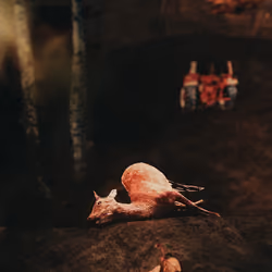 Oh Deer