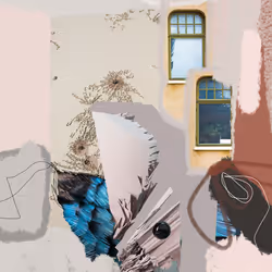 11783748436009130037775153231645173009789513534399277166341765112601054806017