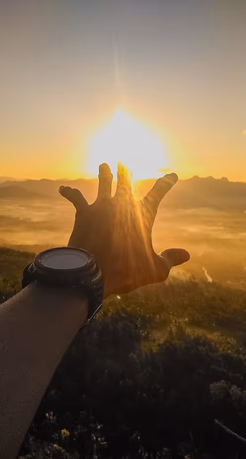 Item #100497195435024618235780896115705786144749628063302186406634901619076719706113 Media