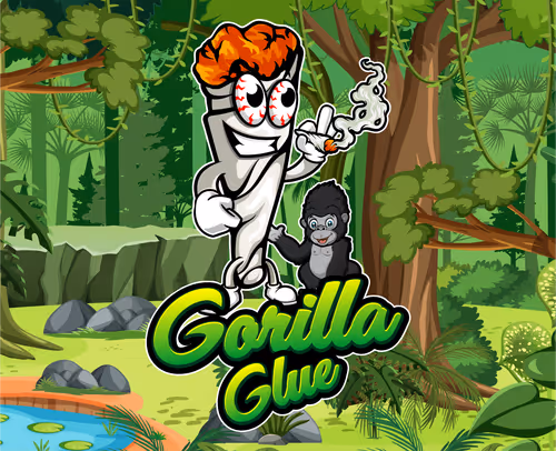 Item #27239952631208204475550635203214834624309968041134471540447875560025171689473 Media