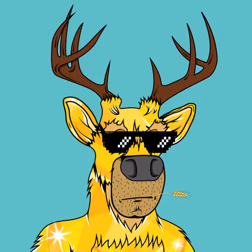 Item #83888290029403042780182765487788199750943582207062304222736794344248106287105 Media