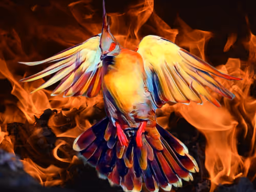 Item #8611177212973406975637787311467685402207376623163261380943492167540880179201 Media