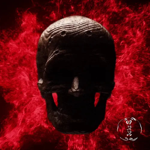 11456114229269844613778559941002896524798927627016767103714784755249896751105