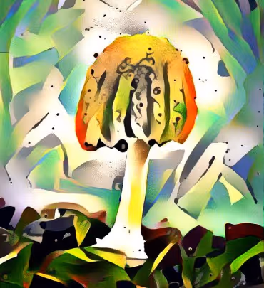 Item #98828088198769885069129805652987605738903563667474416042030428830210470182913 Media