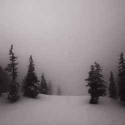 Tangible Stillness - Collectors Airdrop 20/20