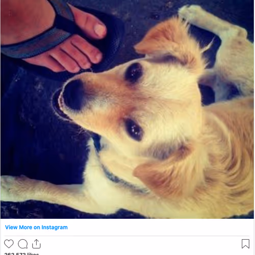 The First Instagram Post