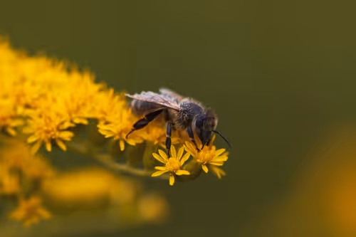 Item #82038507178112004707132471695972498506825775528903589266831690400593413668865 Media