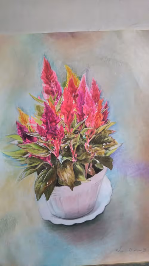 Item #39947162128876808970341849944140550349932662332346803725254496566148027383809 Media