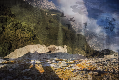 Item #1448819722811812157553440872911488319417736624981688873626406962903532961793 Media