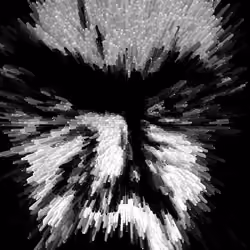 Fear of the Dark