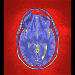 64162533542198579898252916190583583845604629893829087458582976446181412962305