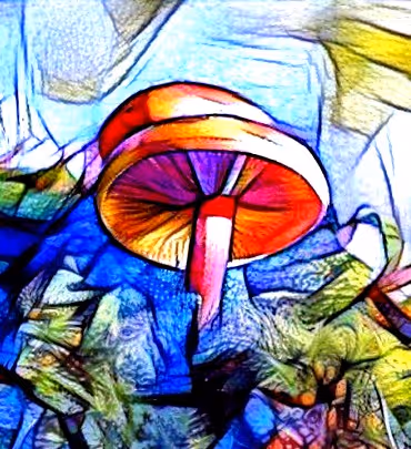 Item #98828088198769885069129805652987605738903563667474416042030428837907051577345 Media