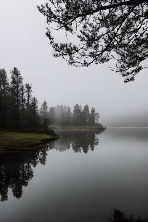 Item #3887115422047443630545464223791812627069003321479925378217031270451321503745 Media