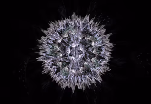 Item #4131897813448906462745634582915602247361068042784661963119482888924178677761 Media