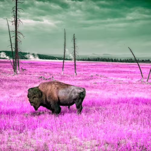 62770830547104152708254418170425720867314851390025237510786564813670043353089