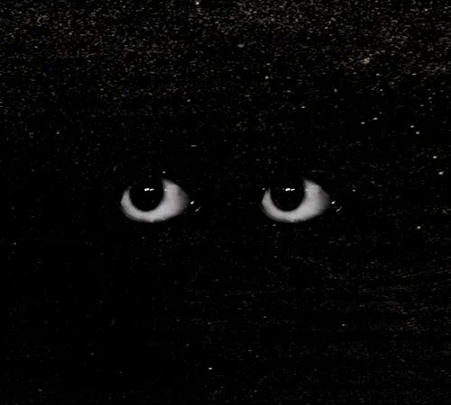 54688137389352509344092767467911615879738143210533731435142059776494115225601