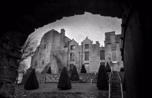 Item #40160686583094733528677484039903516258611509642019211679321071468265305276417 Media