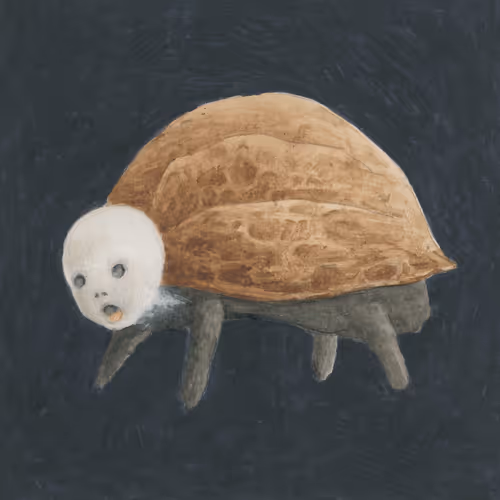 Item #81941951860752634106901471197417024290092758316206591328720189716434706759681 Media