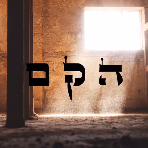 Item #60261209402415139582755570421670089329548312864668202741056927130192944562177 Media