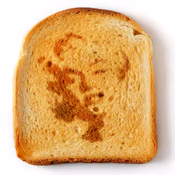 Marilyn Toast